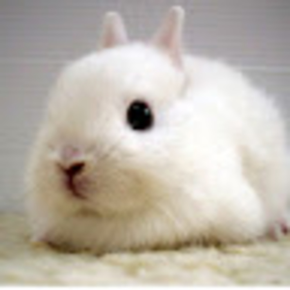 Meet your Posher, Jaque